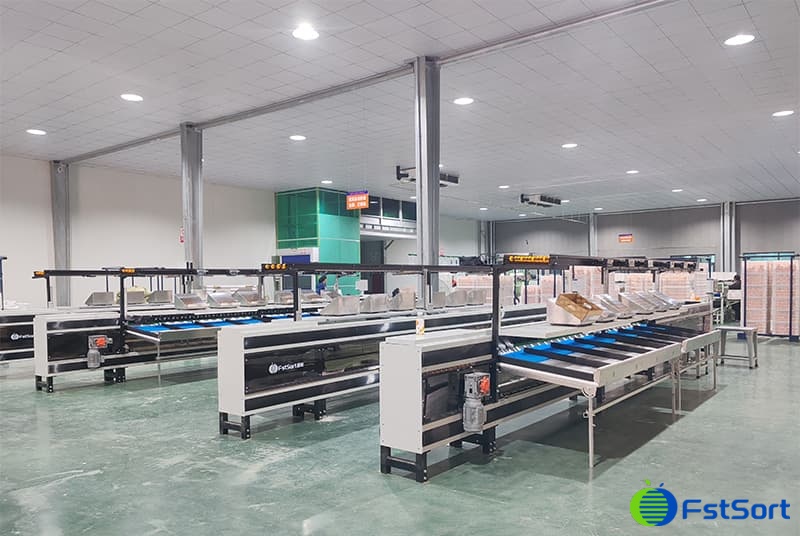 images/1734943133982pear grading machine.jpg